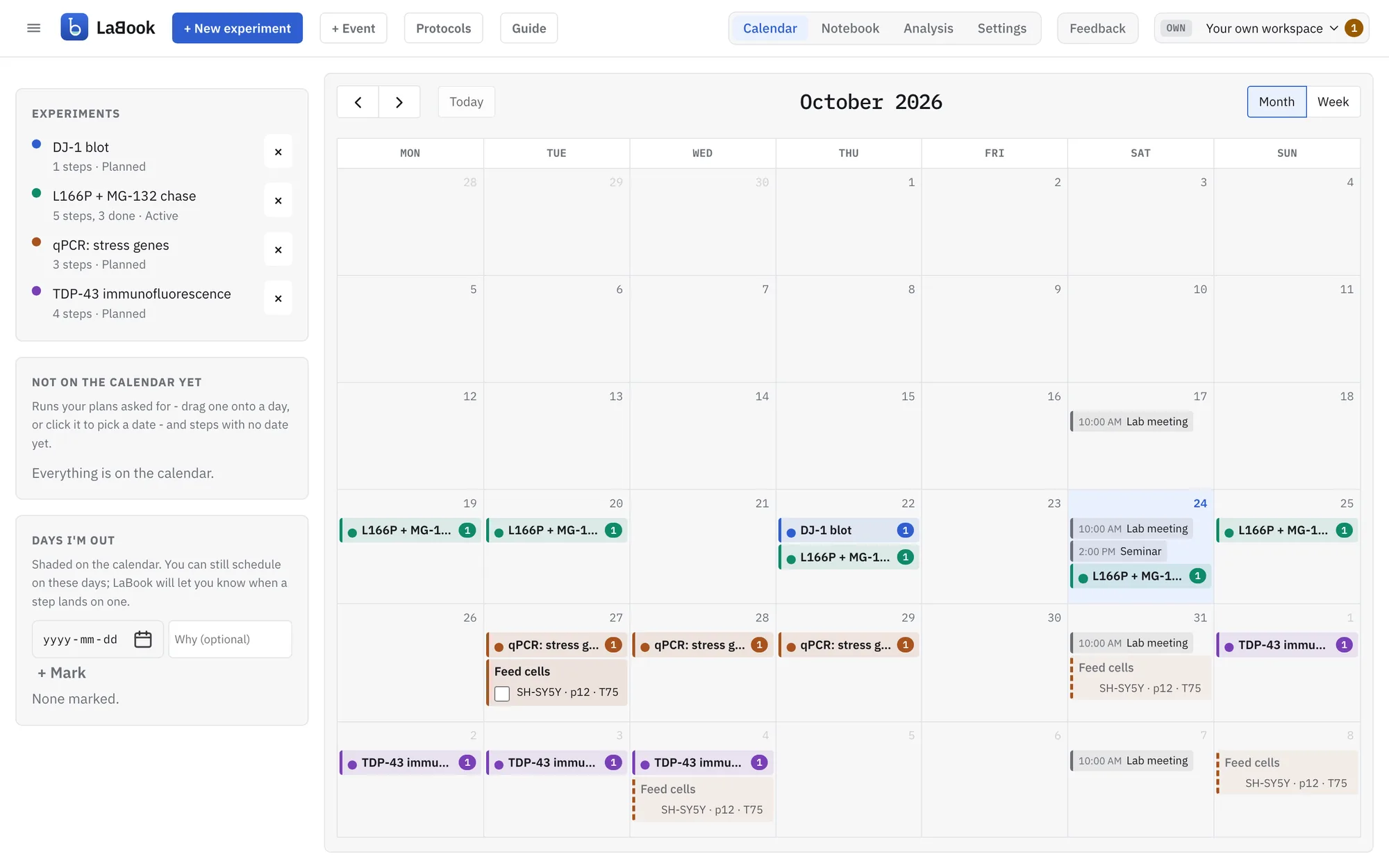 LaBook’s calendar: four experiments laid out step by step across October, with lab meetings, a seminar and cell feeds on the days they fall.